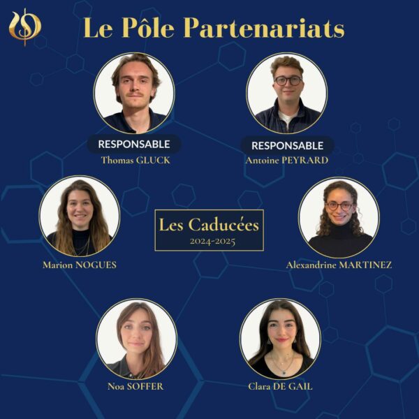 Pôle Partenariats